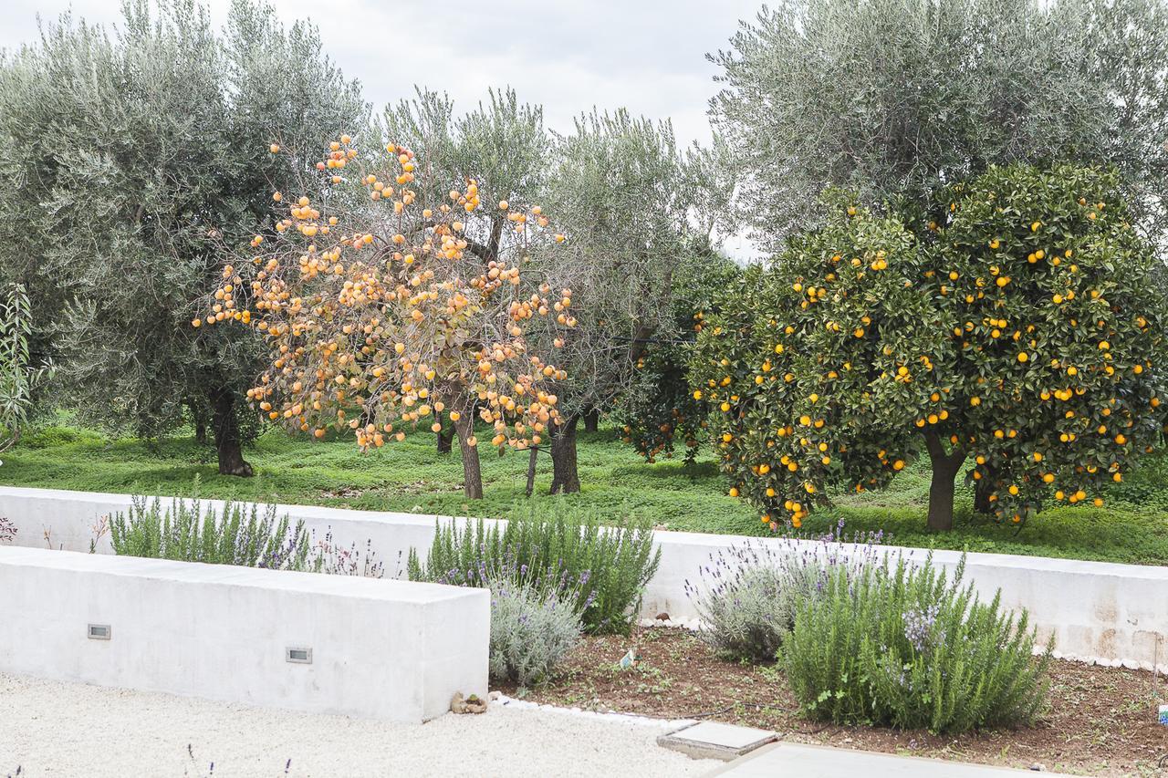Le Stanze Di Meli Bed and Breakfast Palagianello Exterior foto